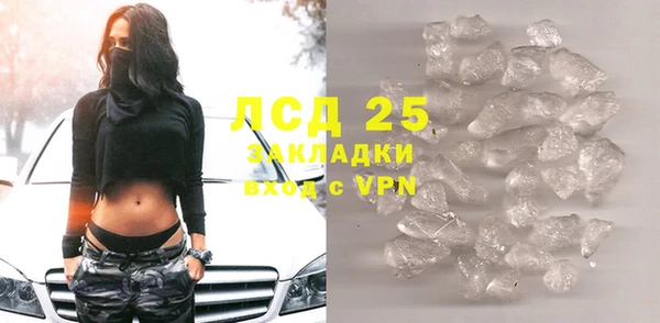 PSILOCYBIN Алзамай