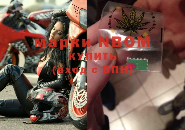 PSILOCYBIN Алзамай