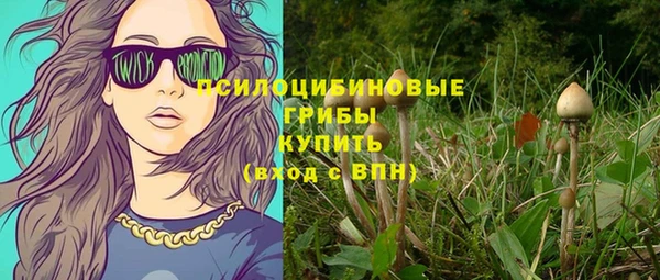 крисы Алексеевка