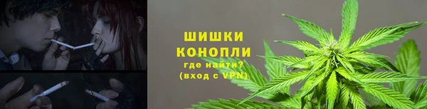 PSILOCYBIN Алзамай