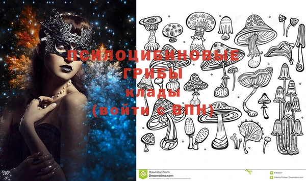 PSILOCYBIN Алзамай